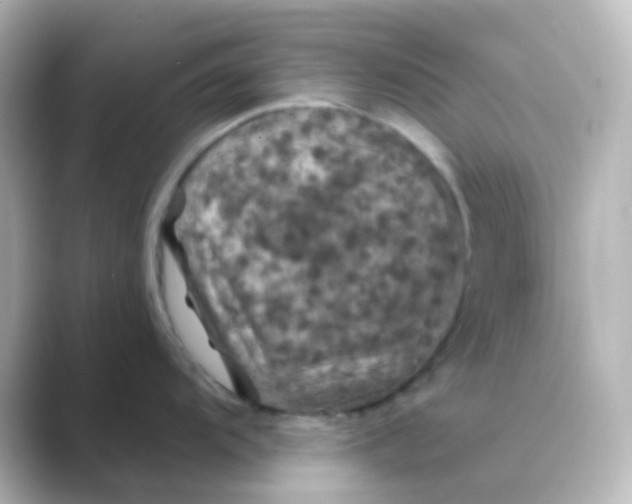 X0000088691104200706211922
