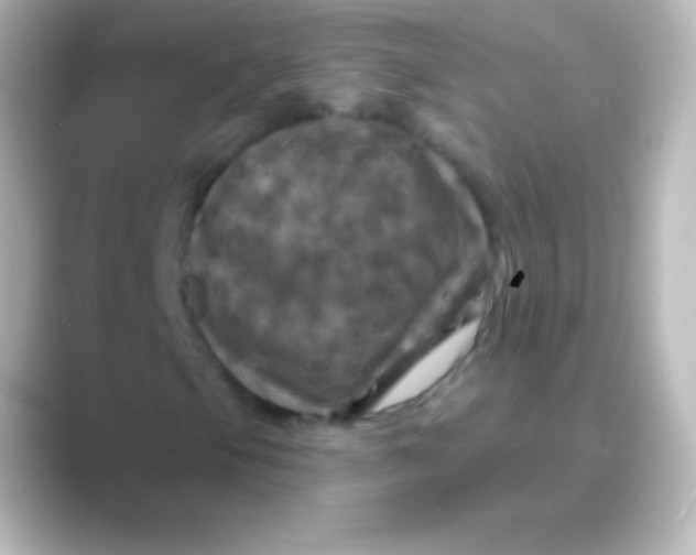 X0000088691105200706211922