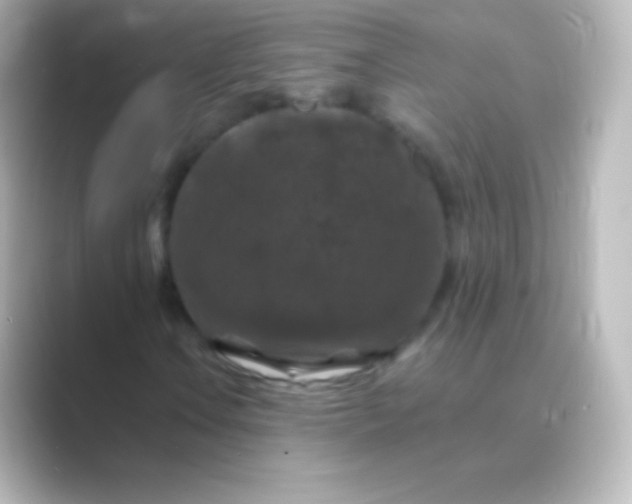 X0000088691106200706211922
