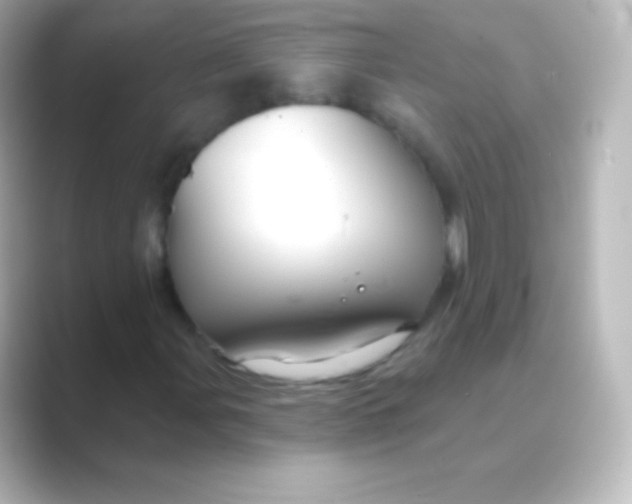 X0000088691107200706211922