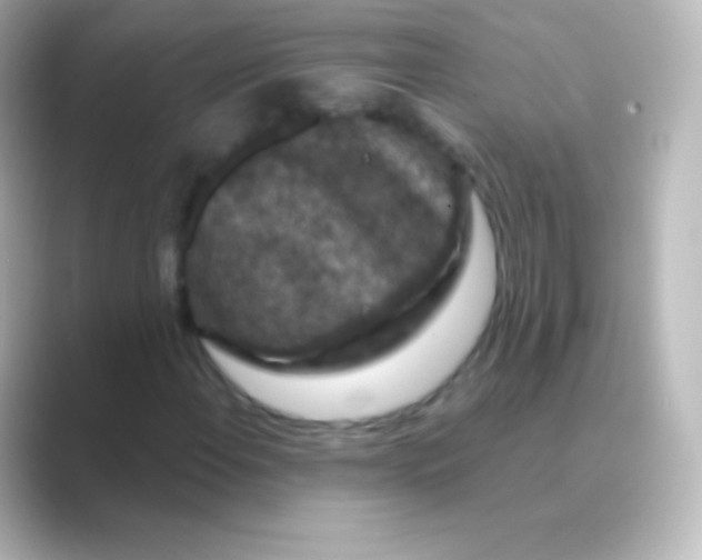 X0000088691108200706211922
