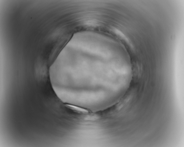 X0000088691110200706211922