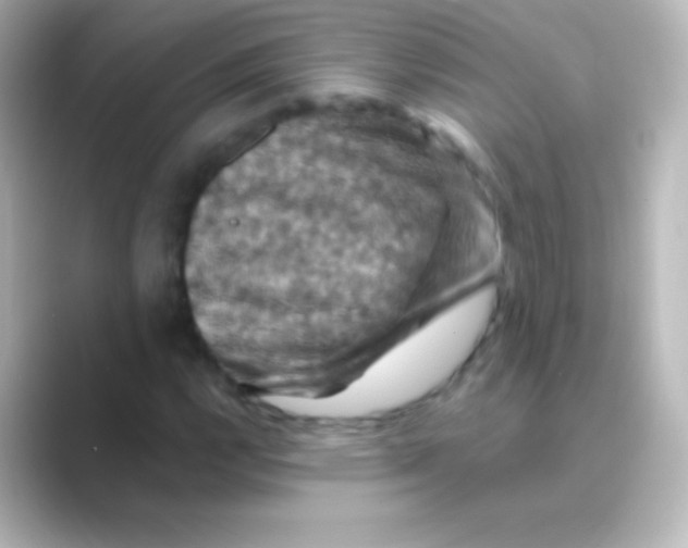 X0000088691112200706211922