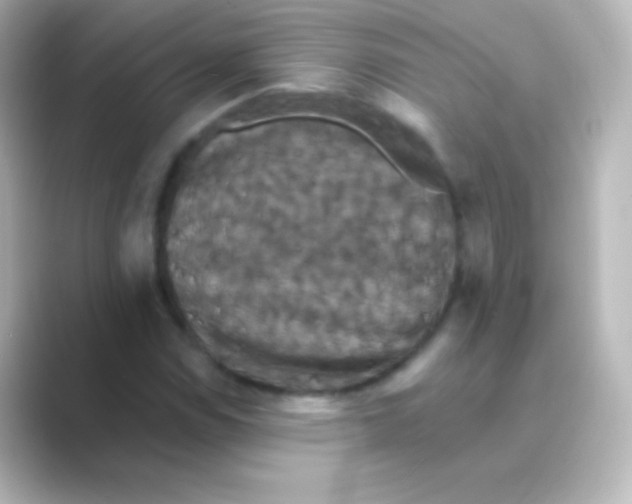 X0000088691114200706211922
