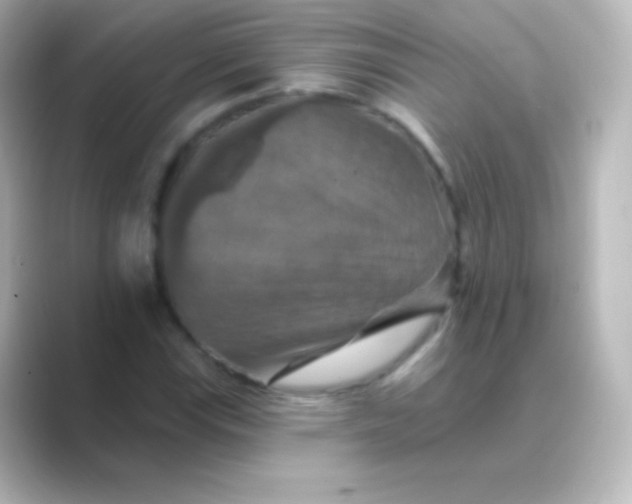 X0000088691115200706211922