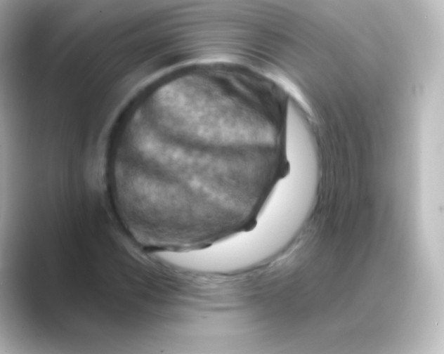 X0000088691116200706211922