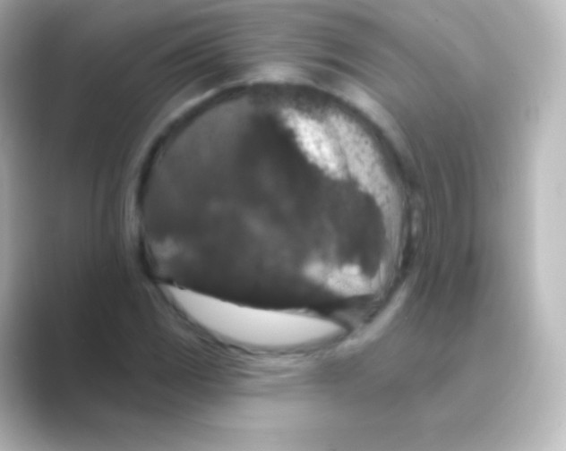 X0000088691117200706211922