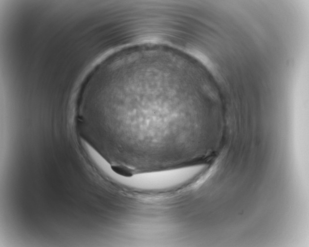 X0000088691118200706211922