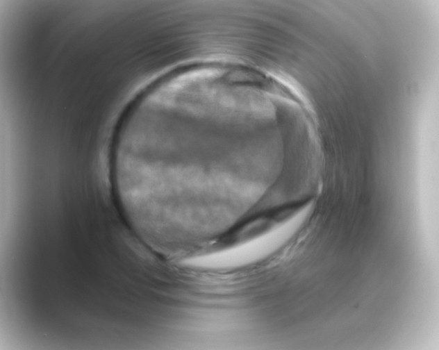 X0000088691120200706211922