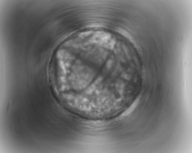 X0000088691121200706211922