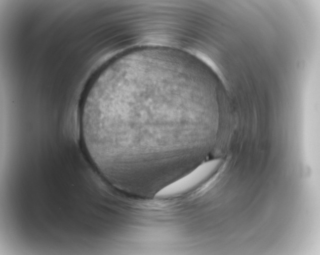 X0000088691123200706211922
