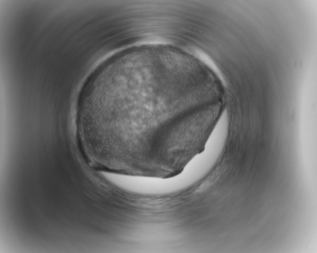 X0000088691124200706211922