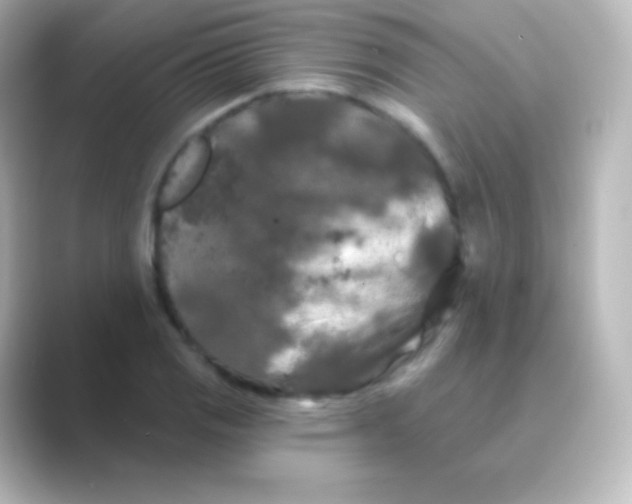 X0000088691125200706211922