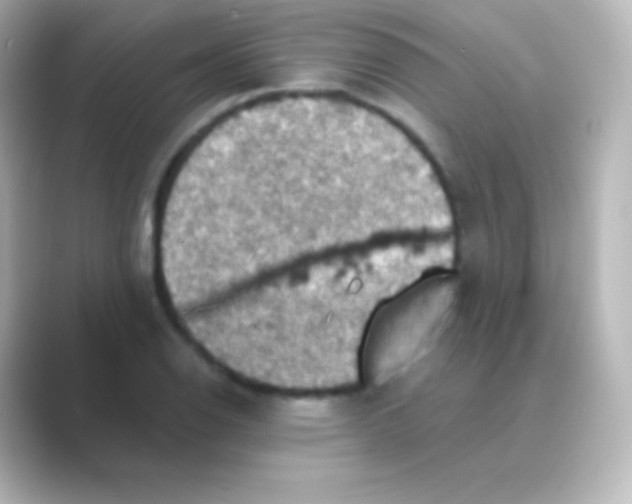 X0000088691126200706211922