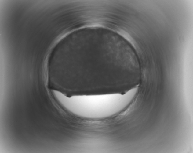 X0000088691127200706211922