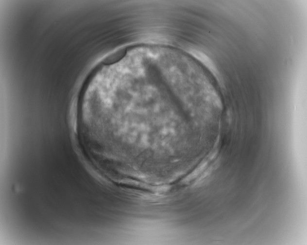 X0000088691128200706211922