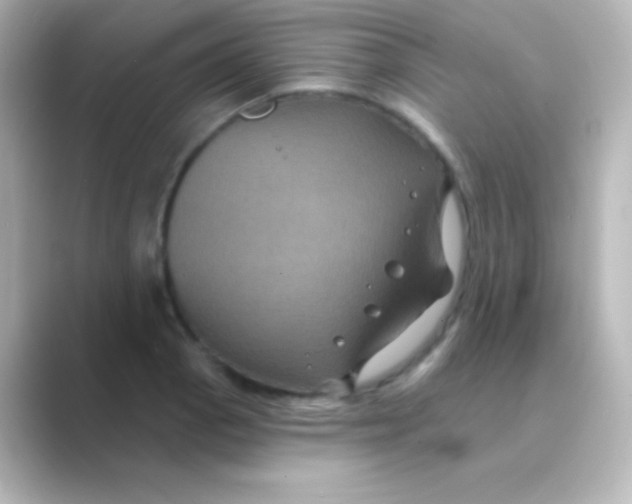 X0000088691129200706211922