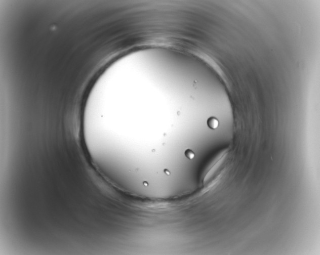 X0000088691131200706211922