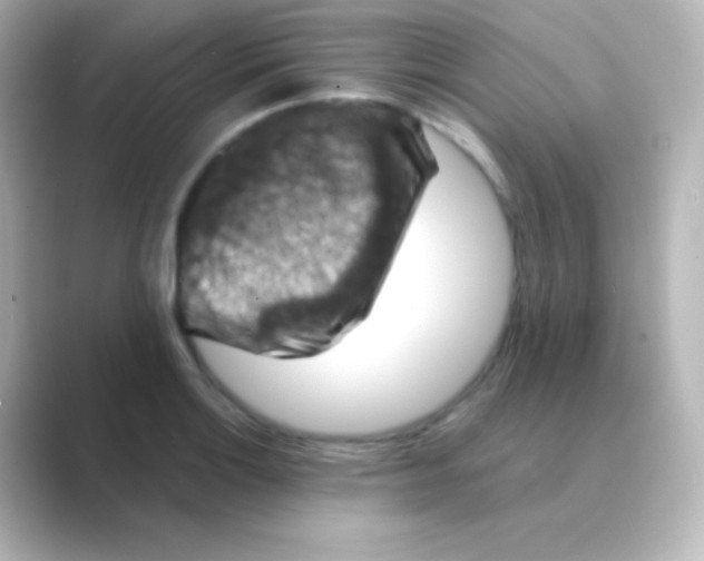 X0000088691132200706211922