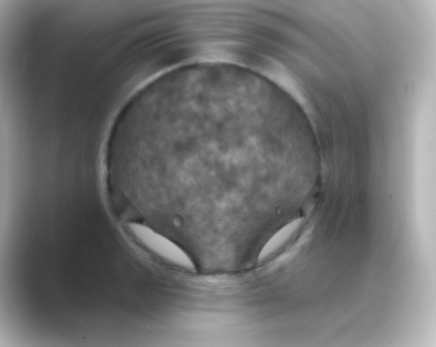 X0000088691133200706211922