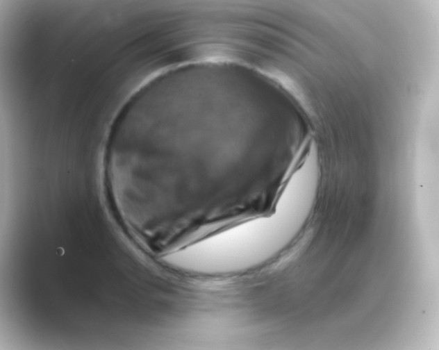 X0000088691134200706211922