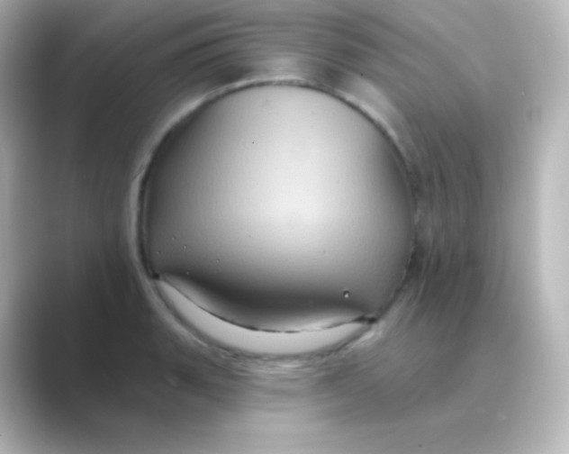 X0000088691135200706211922