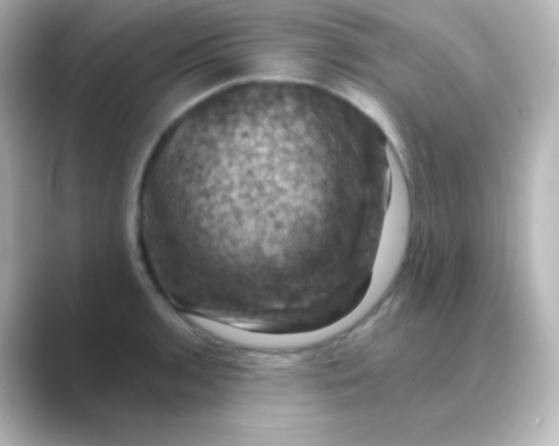 X0000088691136200706211922
