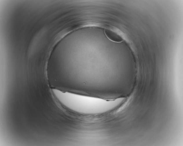 X0000088691137200706211922