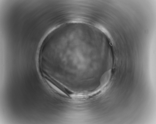 X0000088691138200706211922