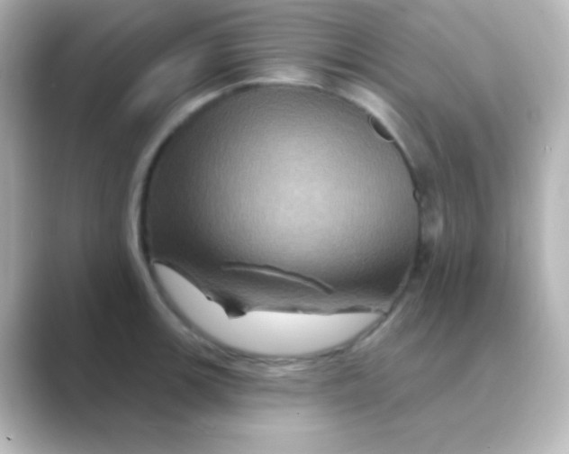 X0000088691139200706211922
