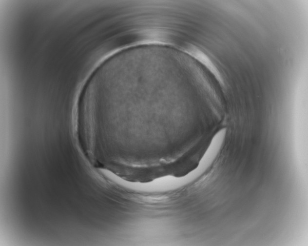 X0000088691140200706211922