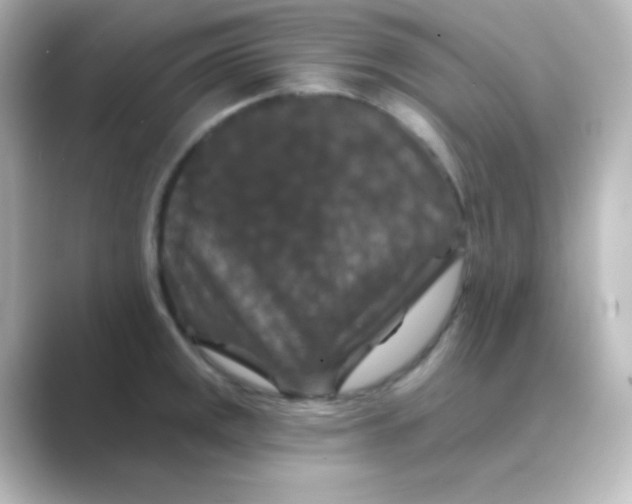 X0000088691141200706211922