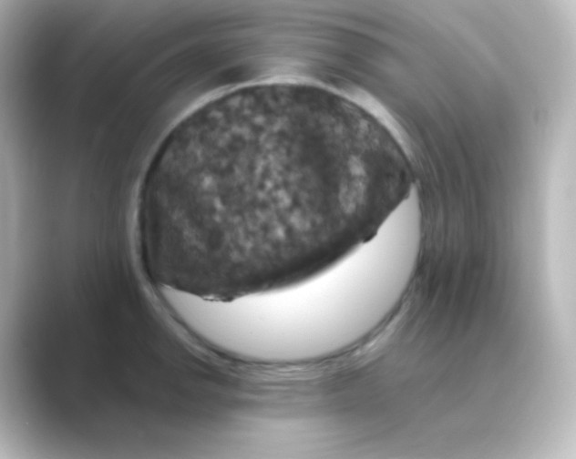 X0000088691142200706211922