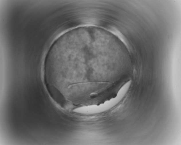 X0000088691143200706211922