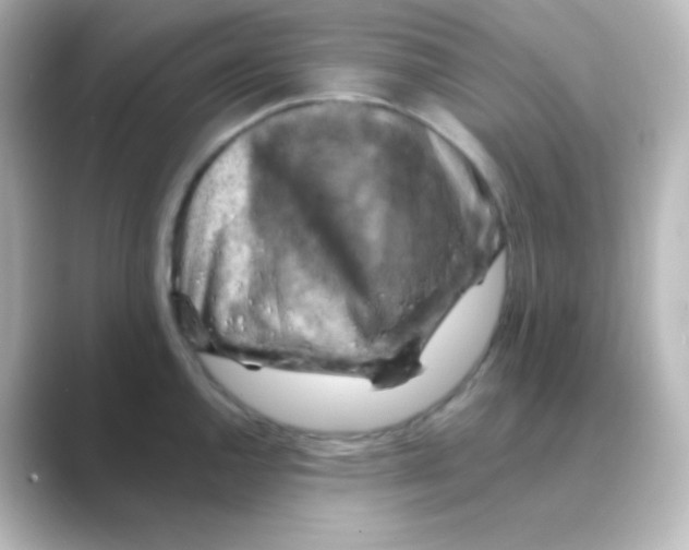 X0000088691144200706211922