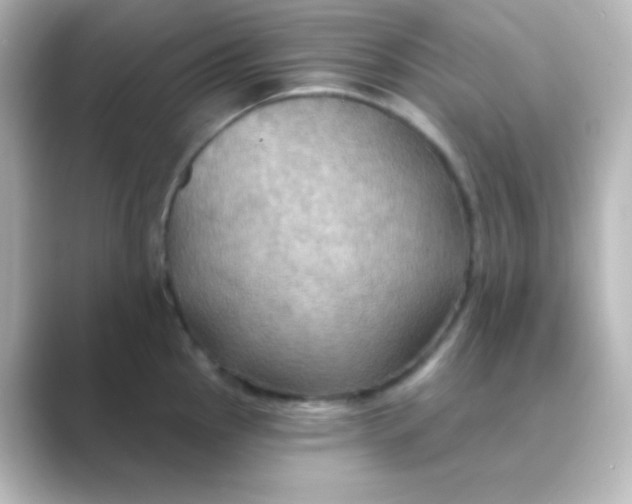 X0000088691145200706211922