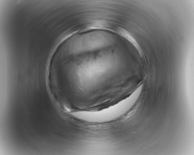 X0000088691146200706211922