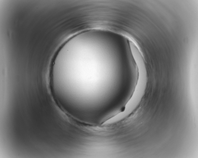 X0000088691147200706211922