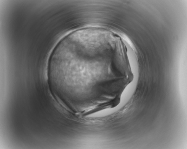 X0000088691148200706211922