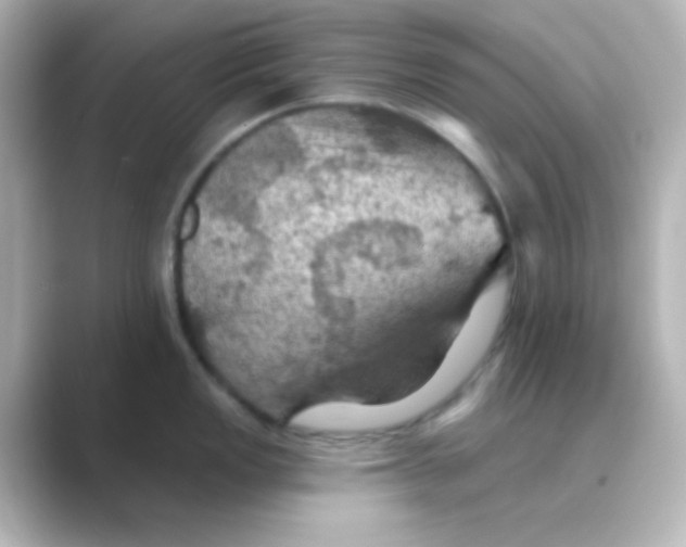 X0000088691149200706211922