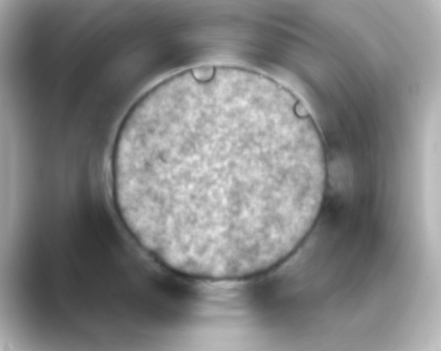 X0000088691150200706211922