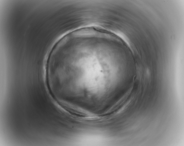 X0000088691151200706211922