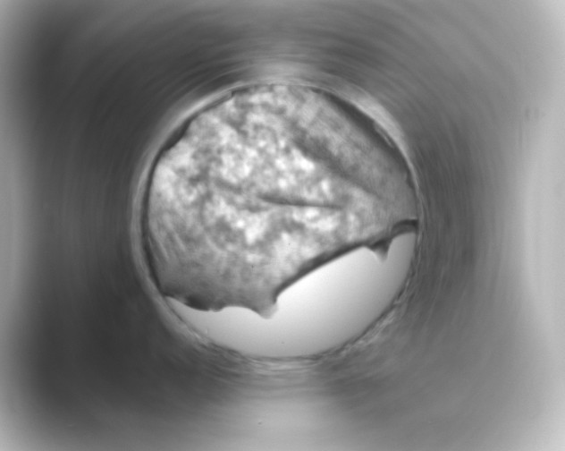 X0000088691152200706211922