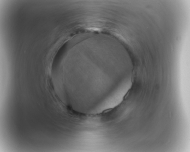 X0000088691153200706211922