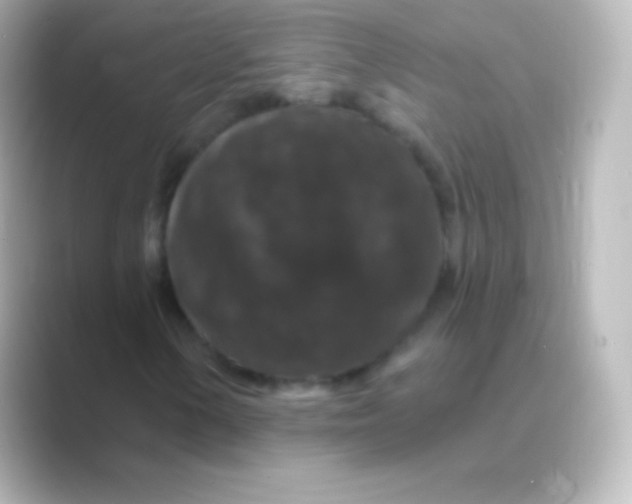 X0000088691154200706211922