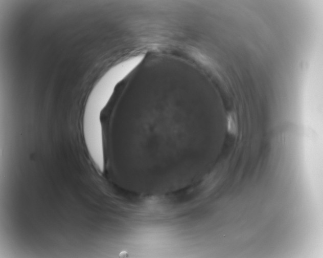 X0000088691155200706211922