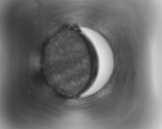X0000088691156200706211922