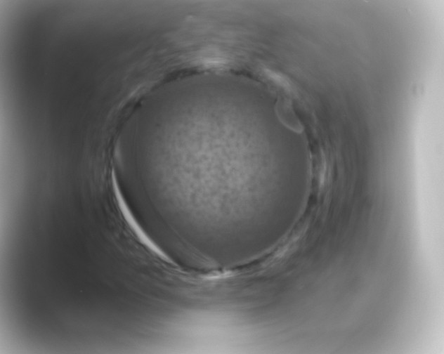 X0000088691157200706211921