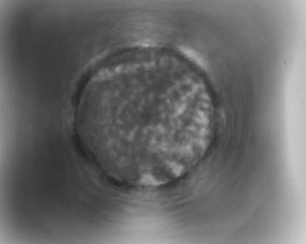 X0000088691158200706211921
