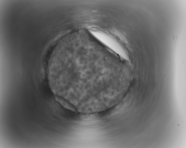 X0000088691159200706211921